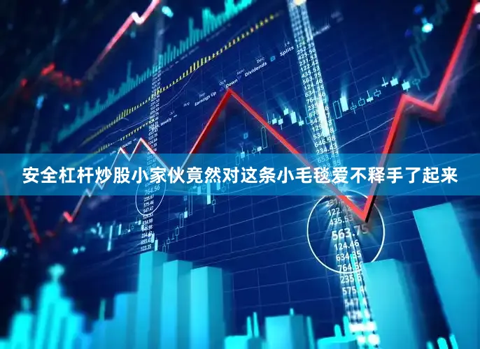 安全杠杆炒股小家伙竟然对这条小毛毯爱不释手了起来