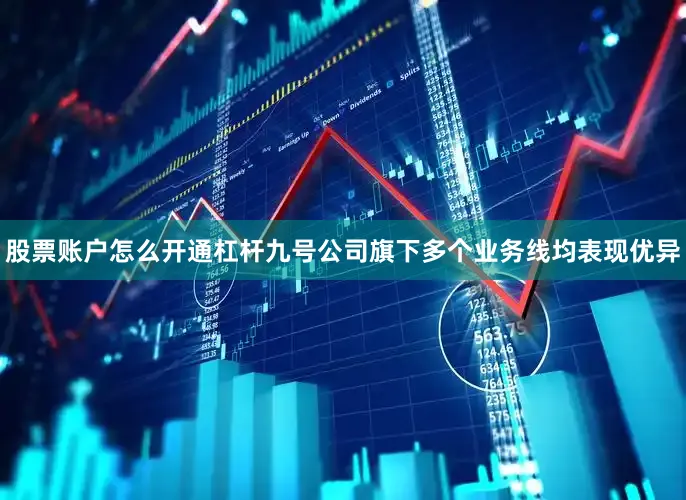 股票账户怎么开通杠杆九号公司旗下多个业务线均表现优异